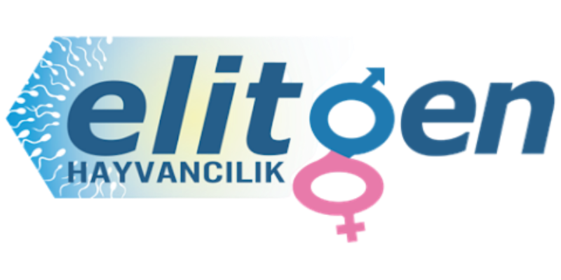 Elitgen Hayvancılık