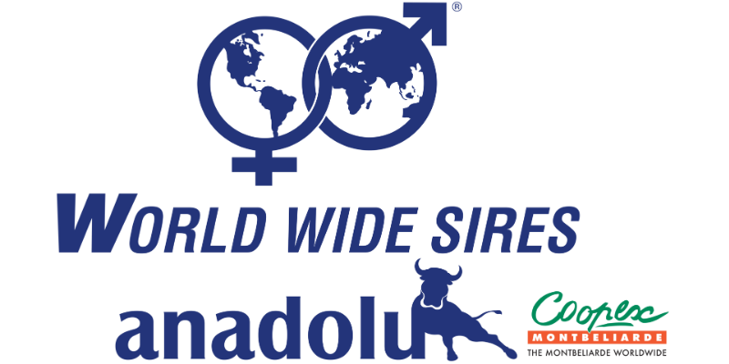 WWS Anadolu 